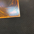 Yu-Gi-Oh! Ocg Duel Monsters (Japanese)