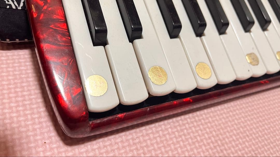 Yamaha Accordions S-32B