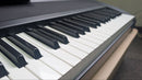 Korg Keyboards Digital Pianos B1
