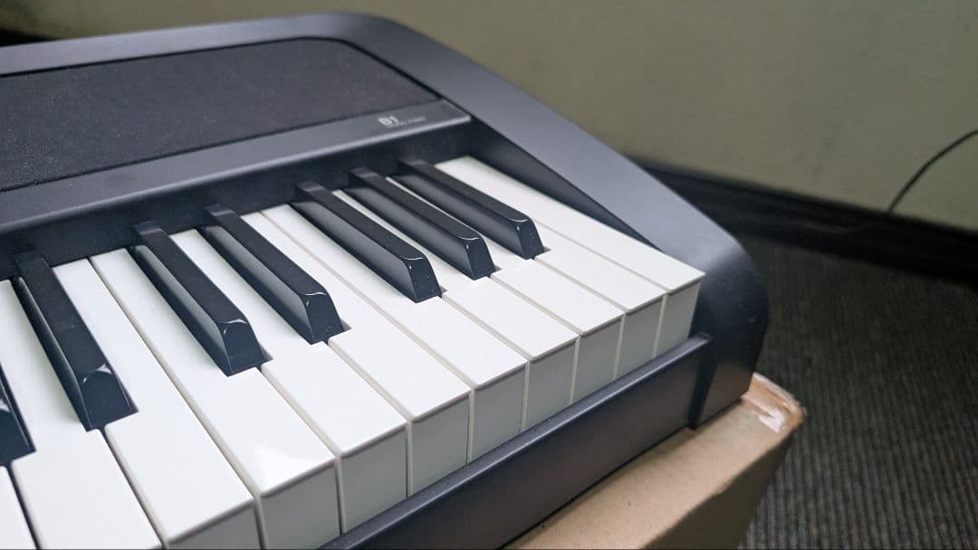Korg Keyboards Digital Pianos B1
