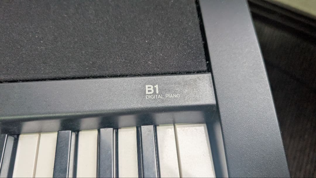 Korg Keyboards Digital Pianos B1