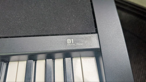 Korg Keyboards Digital Pianos B1
