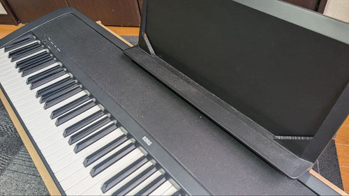 Korg Keyboards Digital Pianos B1