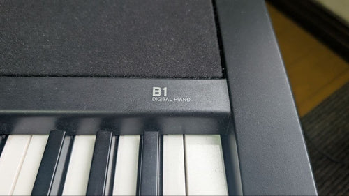 Korg Keyboards Digital Pianos B1