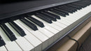 Korg Keyboards Digital Pianos B1