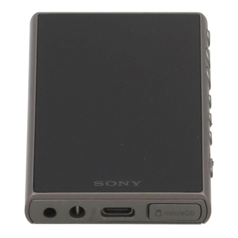 Sony Digital Audio Player 32Gb Nw-A106 B 22