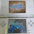 Nintendo Ds Software (Package Version)