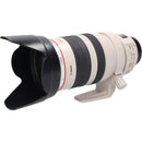 Canon Lens (Single Focus)