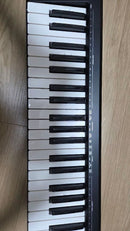 Roland Keyboards Digital Pianos A-49-Bk Midi
