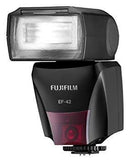 Strobe Fujifilm Finepix X100 Ef-42 Wgteh8F