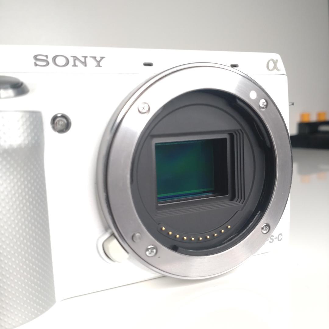 Sony Mirrorless Interchangeable Lens Cameras Nex-F3Y Sd