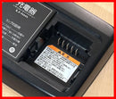 Yamaha Chargers X90-00