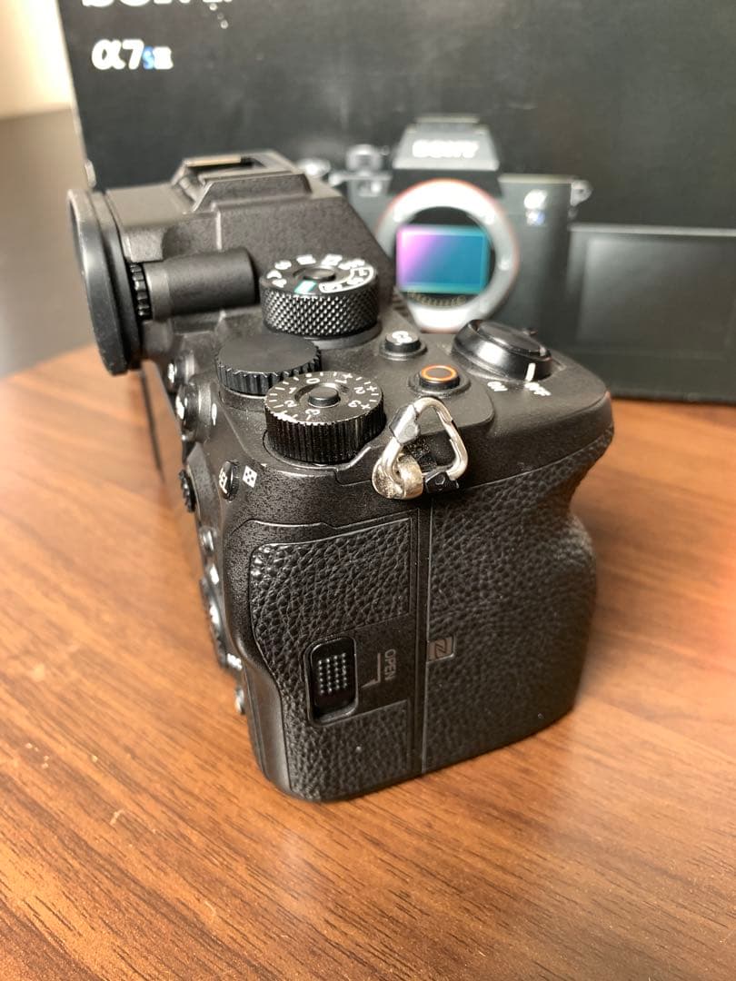 Sony Mirrorless Interchangeable Lips 7S Iii