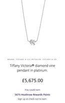 Tiffany Necklaces 120