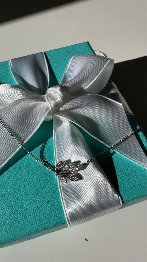 Tiffany Necklaces 120