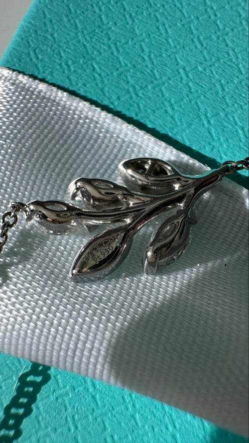 Tiffany Necklaces 120
