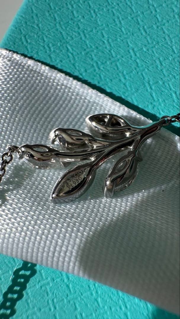 Tiffany Necklaces 120