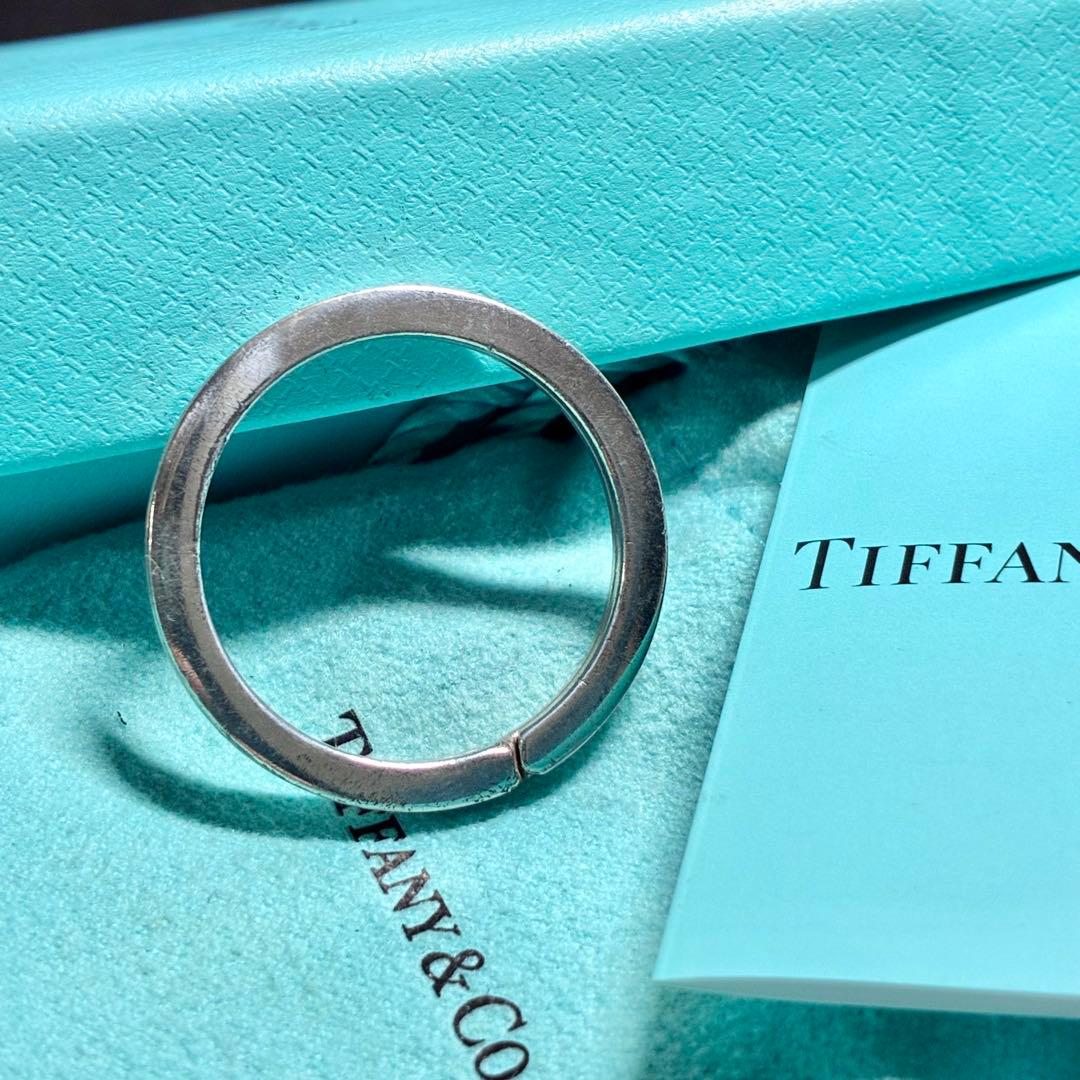 Tiffany Keychains Key Rings