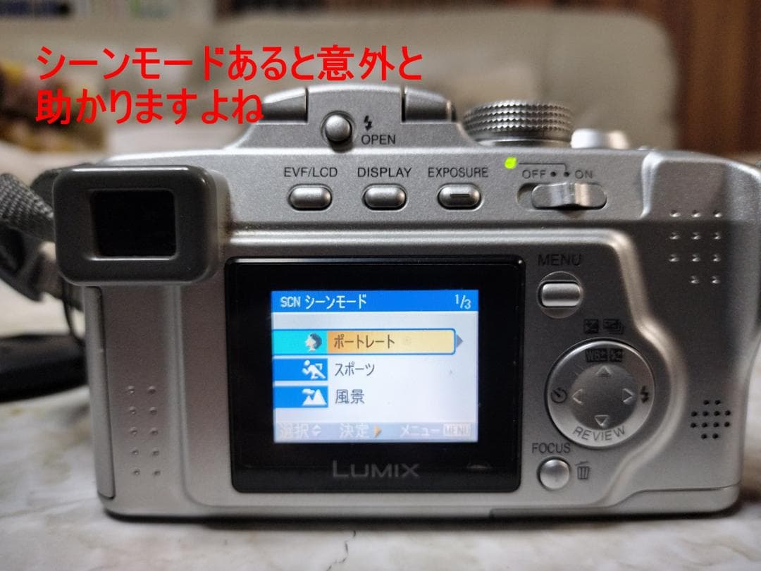 Compact Digital Cameras Lumix Fz3 12