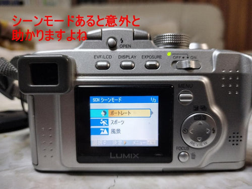 Compact Digital Cameras Lumix Fz3 12