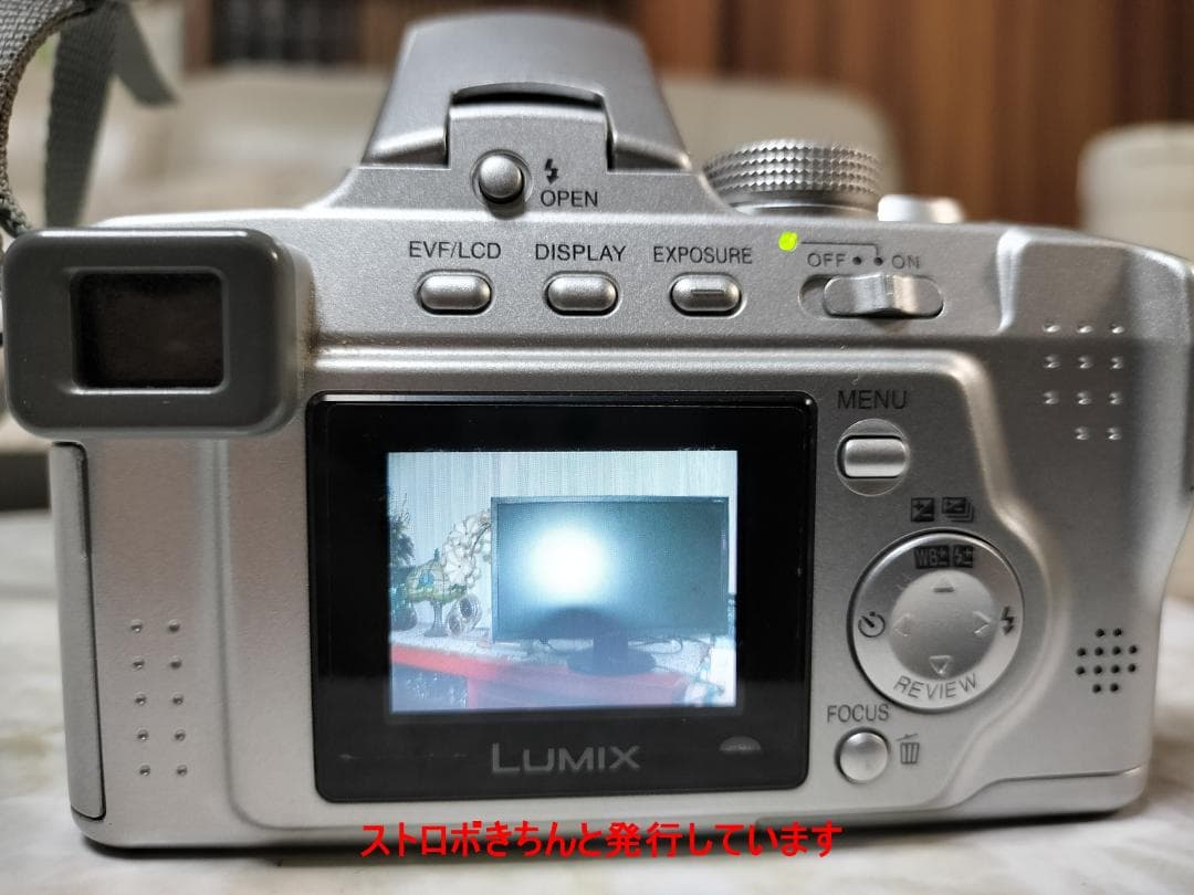 Compact Digital Cameras Lumix Fz3 12