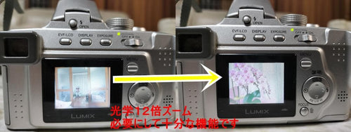 Compact Digital Cameras Lumix Fz3 12