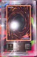 Yu-Gi-Oh! Ocg Duel Monsters (Japanese) Ars10+ Ars