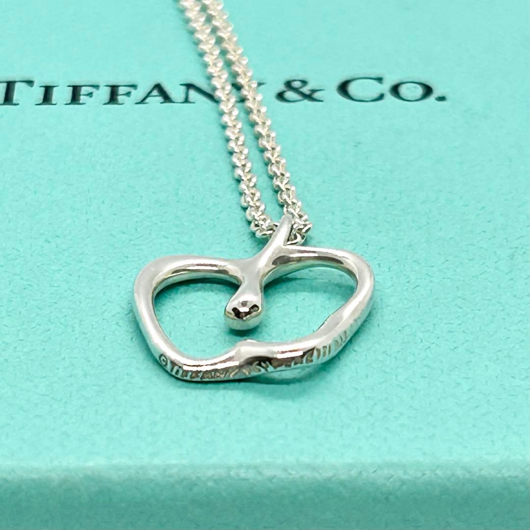 Tiffany Necklaces