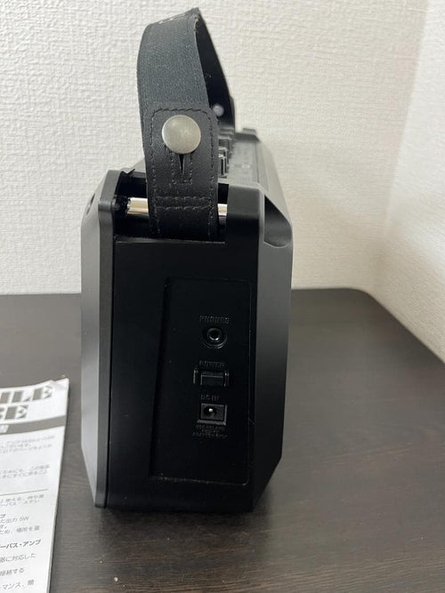 Roland Guitar Amplifiers Mobile Cube Da300