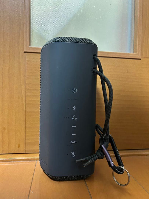 Sony Wireless Speakers