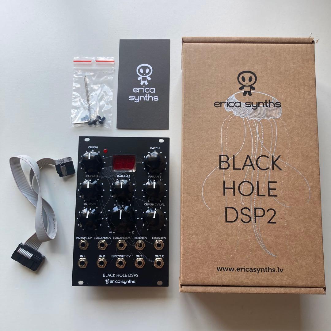 Modular Synthesizers Erica Synths Black Hole Dsp2