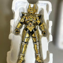 Bandai Other S.H.Figuarts(