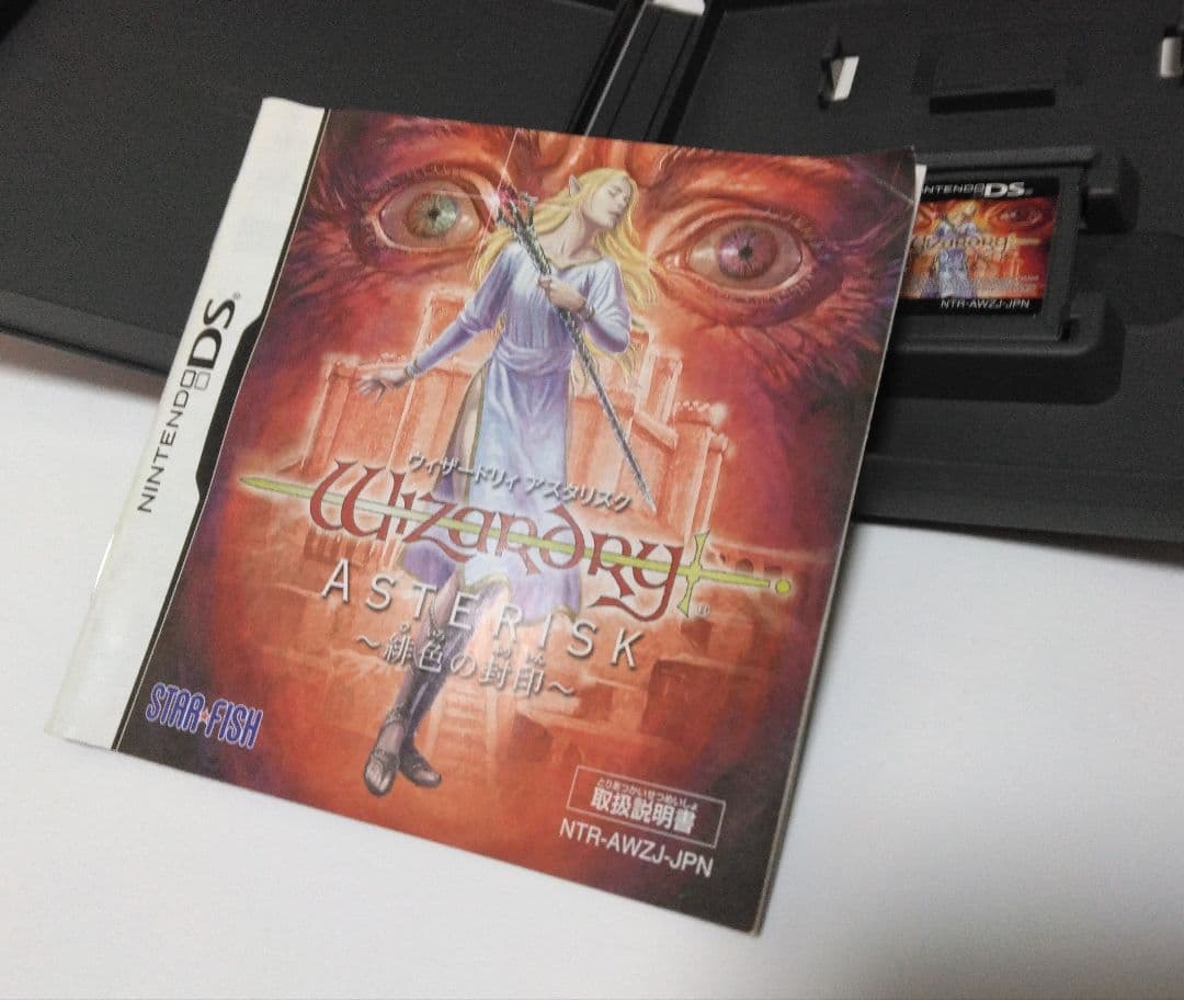 Nintendo Ds Software (Package Version)