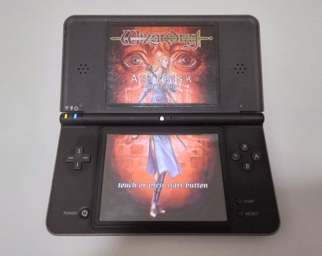 Nintendo Ds Software (Package Version)