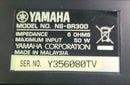 Yamaha Av Amplifier Sr-300