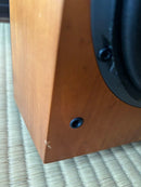 Jbl Speakers 2 Xti20