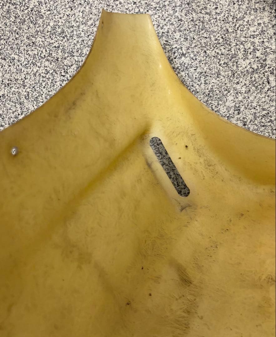 Cowls Fenders Z 3Ry Cy50Z
