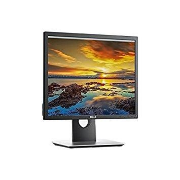 Display Monitor Body 3 Dell P1917S 19.0 1280 800 1024 D-Sub Displayport