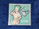 Acrylic Stands Dr.Stone