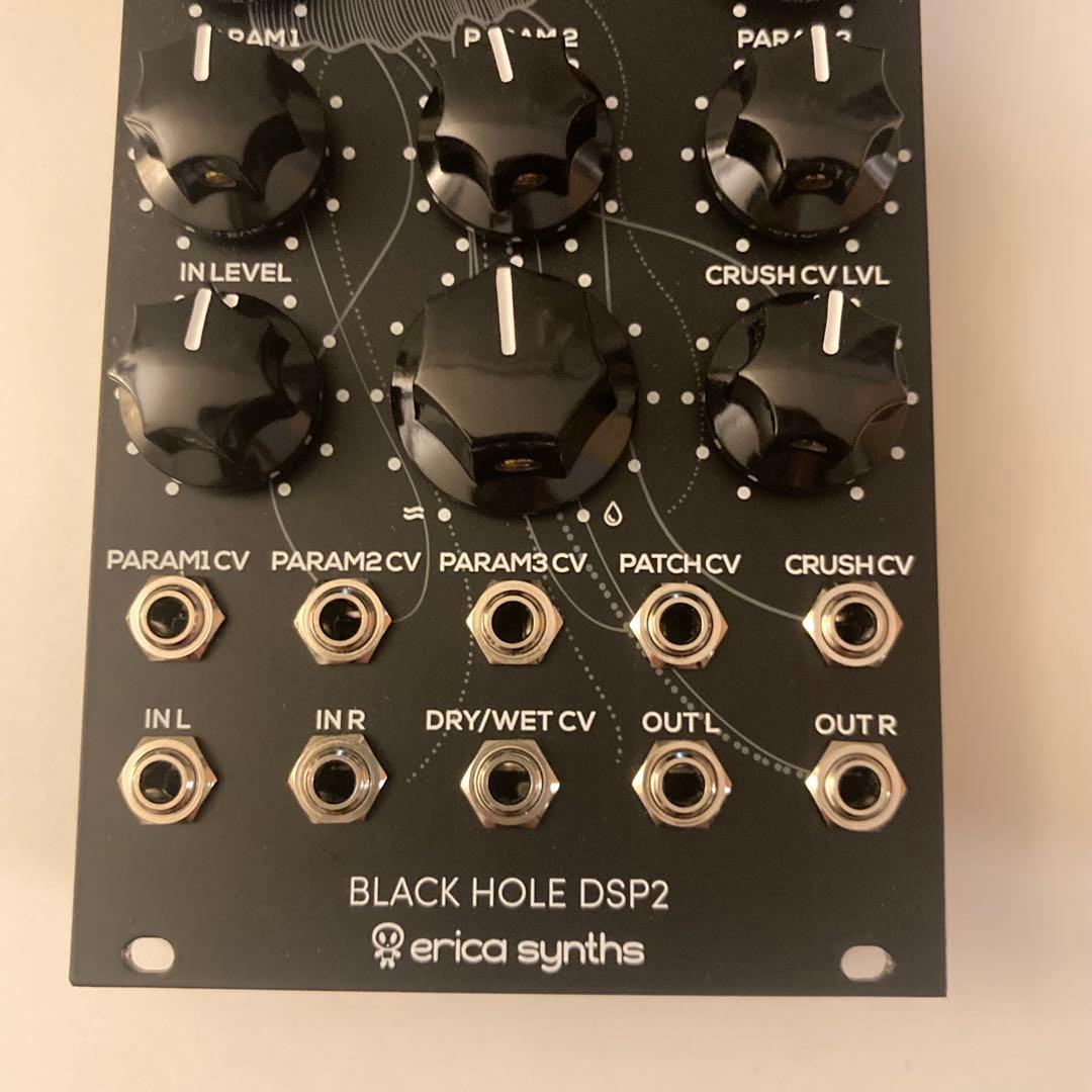Modular Synthesizers Erica Synths Black Hole Dsp2