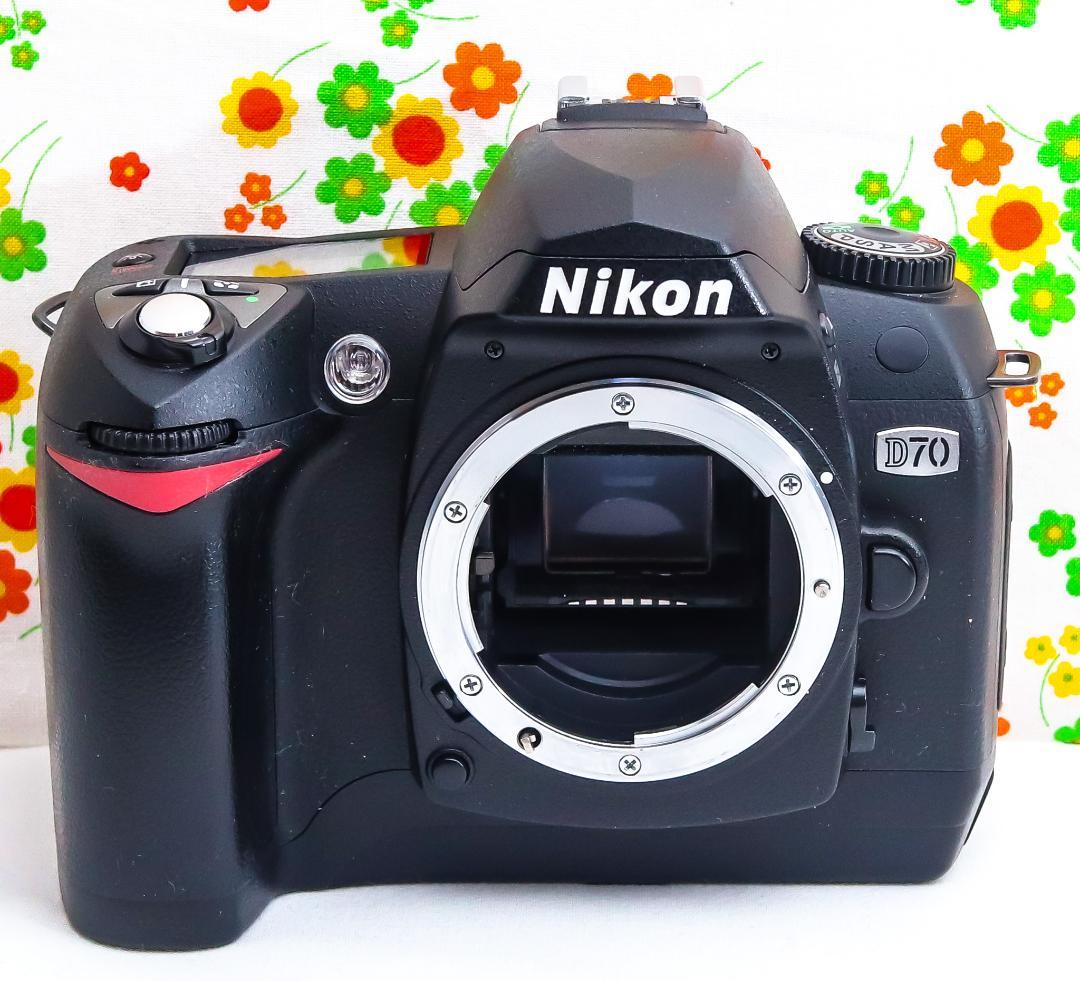 Nikon Digital Slr D70
