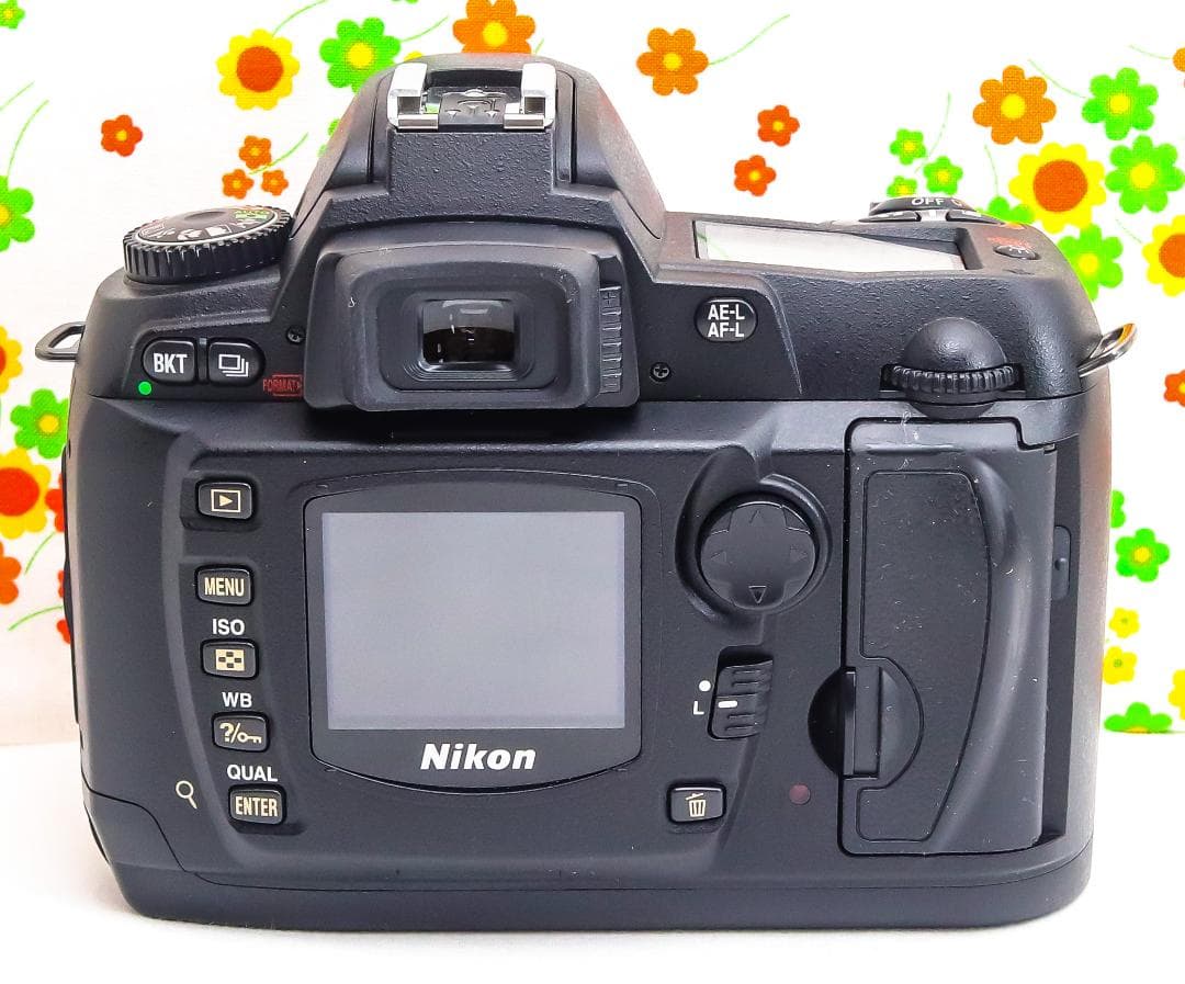 Nikon Digital Slr D70
