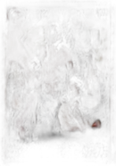 Others Vol.1 [Dvd]