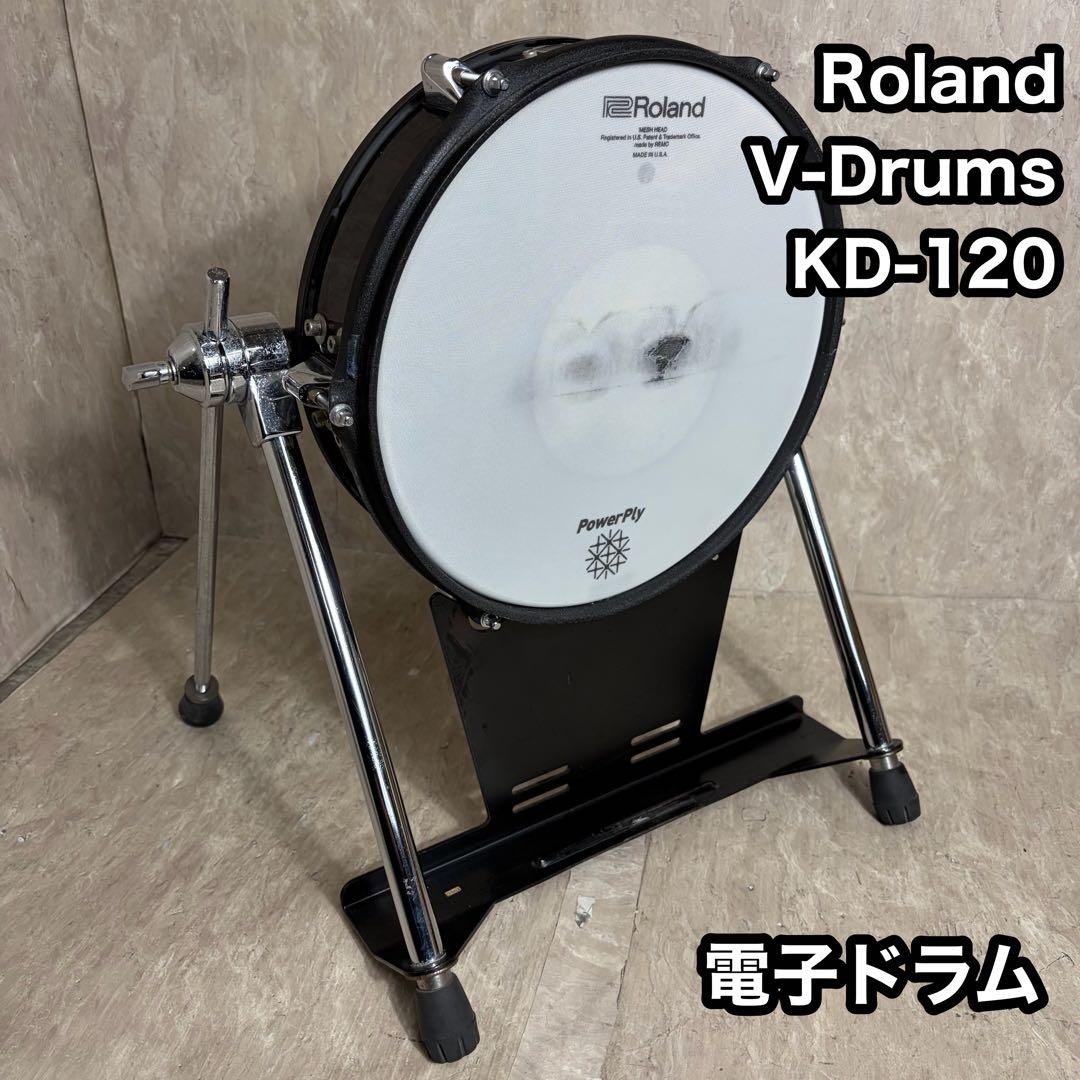 Roland Electronic Drum Kd-120 V-Drums
