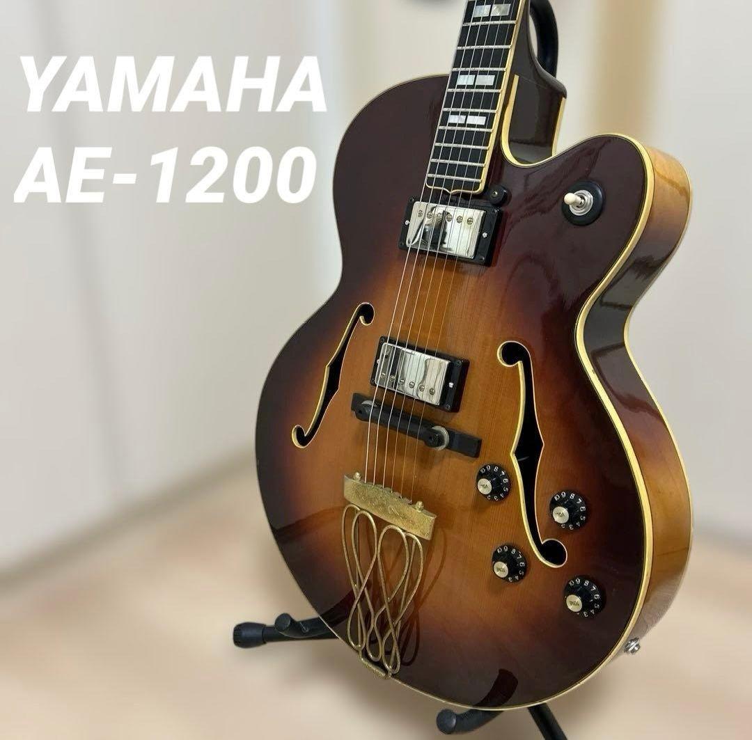 Electric Guitars Ae1200