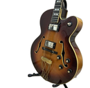 Electric Guitars Ae1200