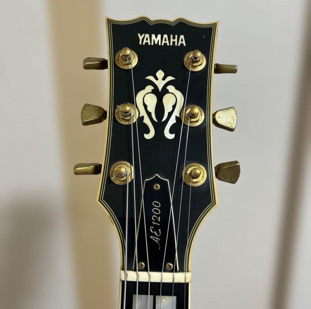 Electric Guitars Ae1200