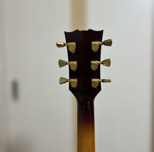 Electric Guitars Ae1200