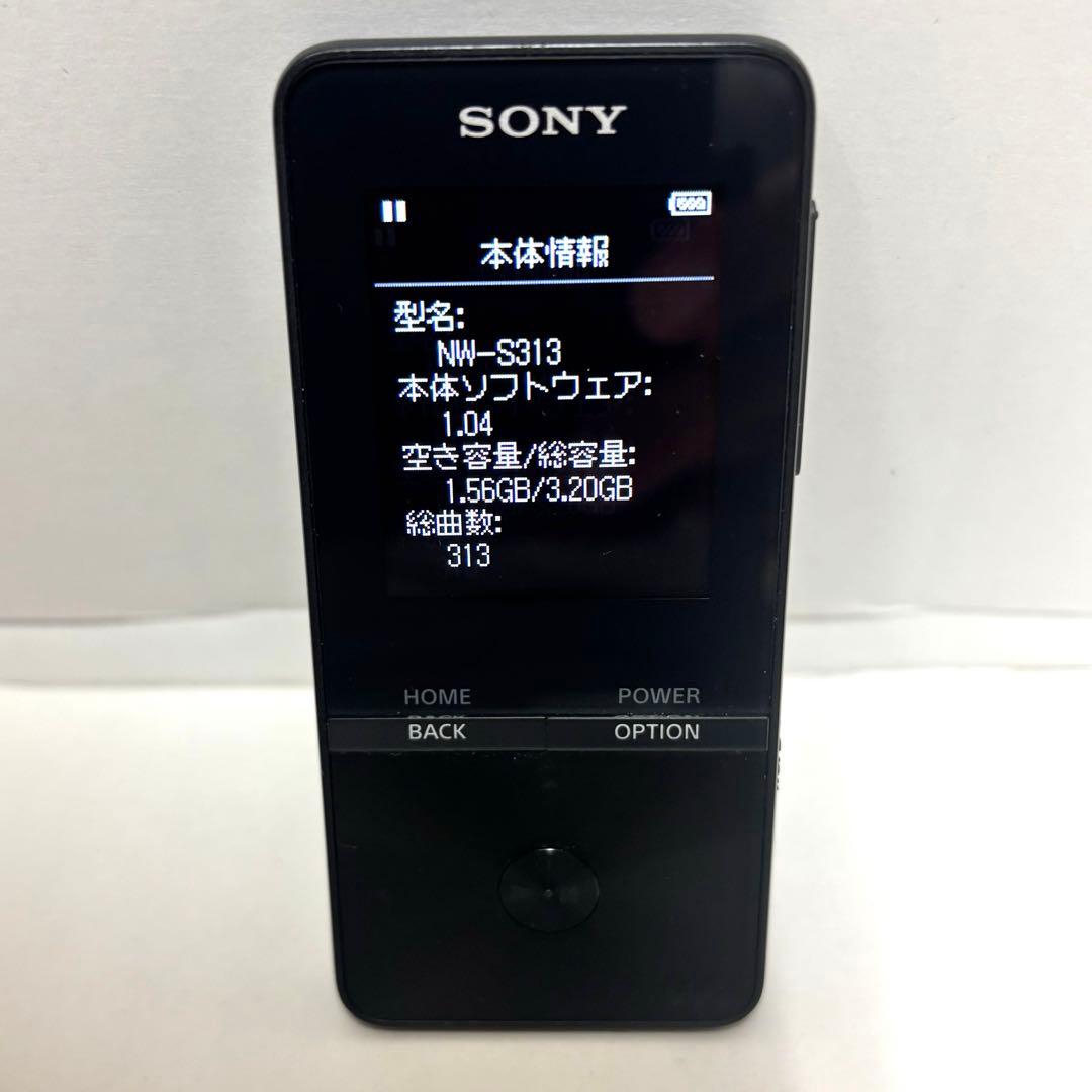 Sony Digital Audio Players Walkman Nw-S313
