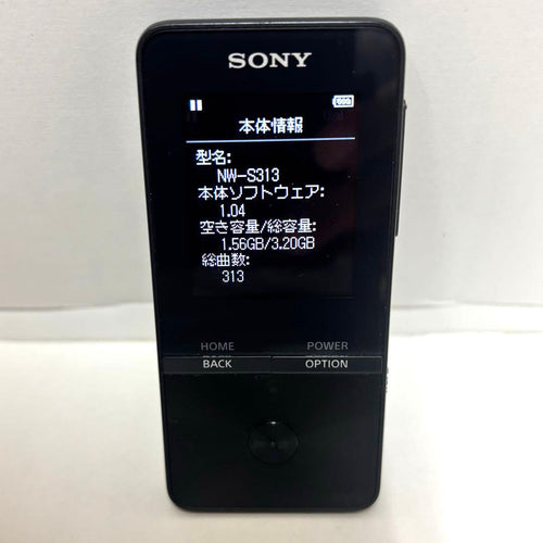 Sony Digital Audio Players Walkman Nw-S313